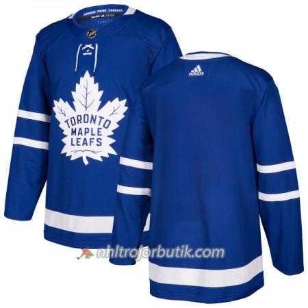 Män Ishockey Toronto Maple Leafs Tröja Blank Adidas 2017-2018 Blå Authentic Män Ishockey Toronto Maple Leafs Tröja Blank Adidas 2017-2018 Blå Authentic